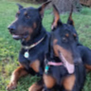 Meet your Posher, Barry